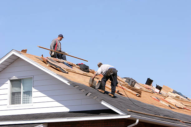 Roof Moss and Algae Removal in Elysburg, PA